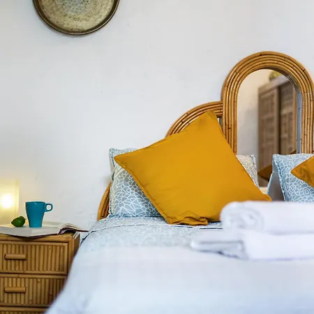 El Gato Genial Lomo de Mena