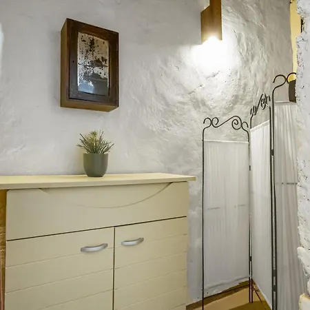 El Gato Genial Lomo de Mena