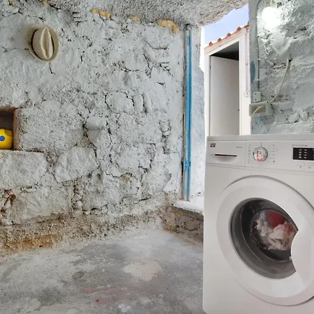 El Gato Genial Lomo de Mena