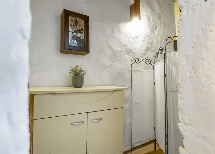 El Gato Genial Lomo de Mena