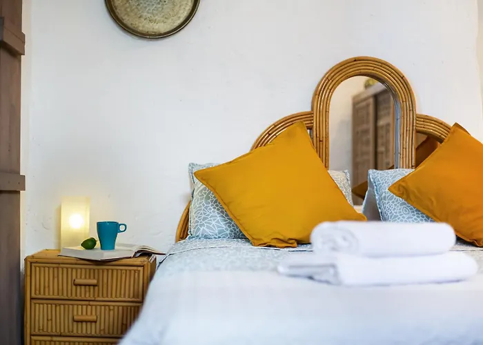 El Gato Genial Lomo de Mena