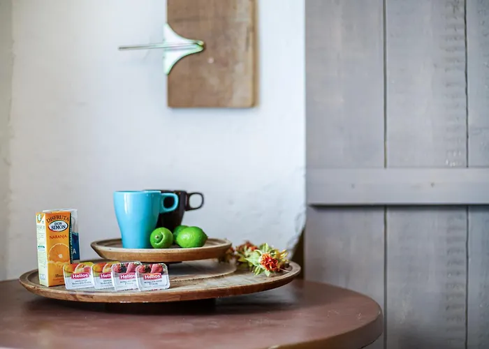 El Gato Genial Lomo de Mena