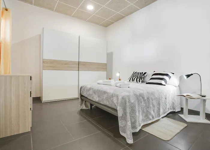 El Gato Genial * Lomo de Mena