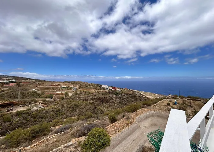 El Gato Genial Lomo de Mena