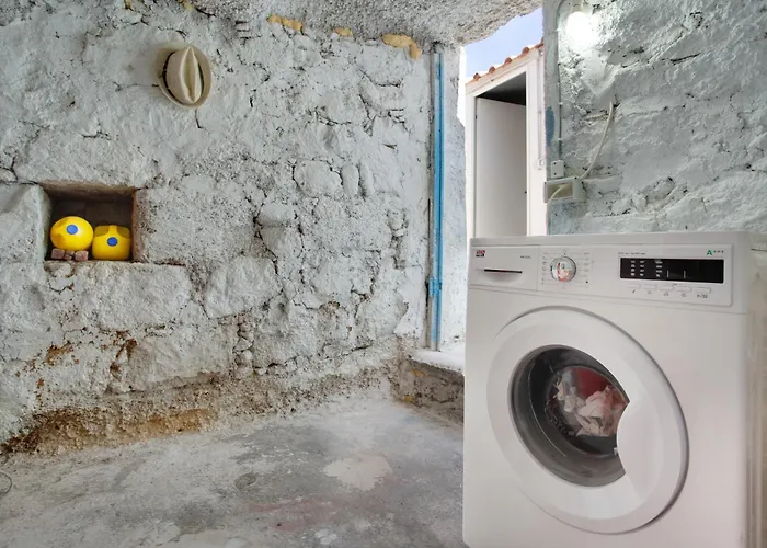 El Gato Genial Lomo de Mena